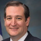 Illustration for article titled Who Is Ted Cruz?